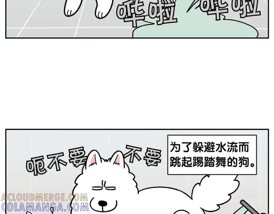 《我的狗子叫棉花》第47话 把狗狗引到浴室 第43页