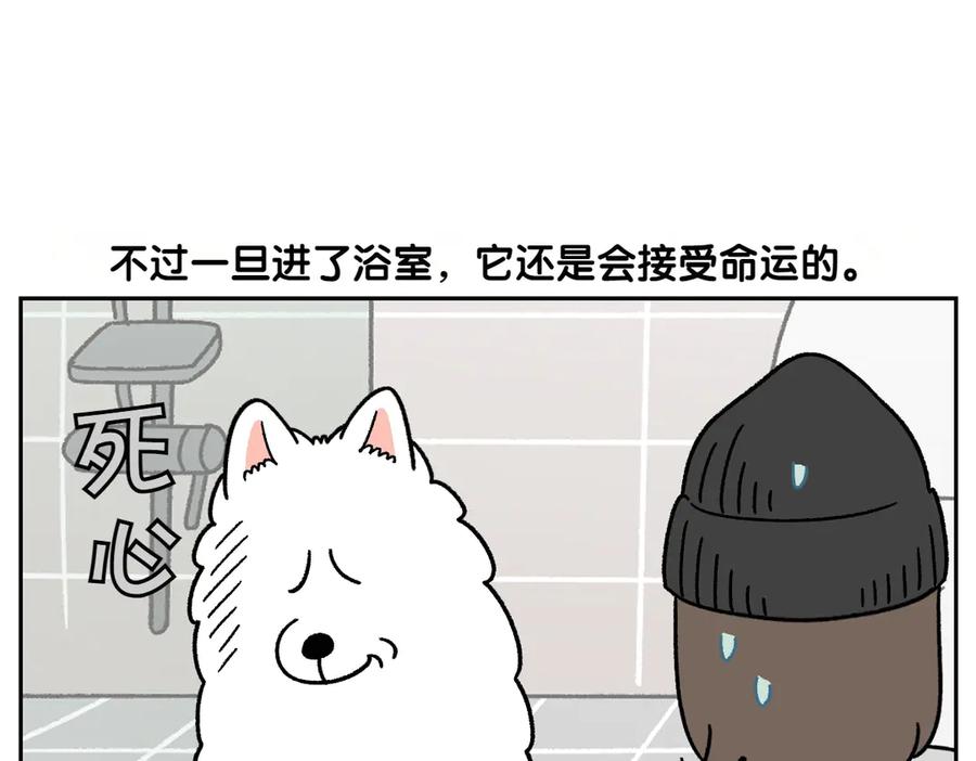 《我的狗子叫棉花》第47话 把狗狗引到浴室 第29页