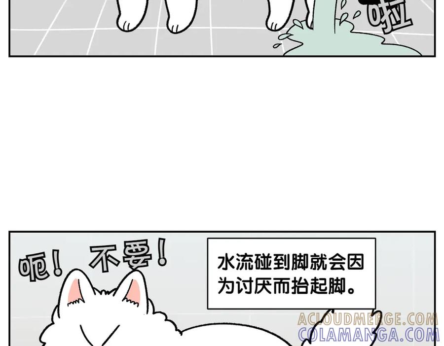 《我的狗子叫棉花》第47话 把狗狗引到浴室 第40页