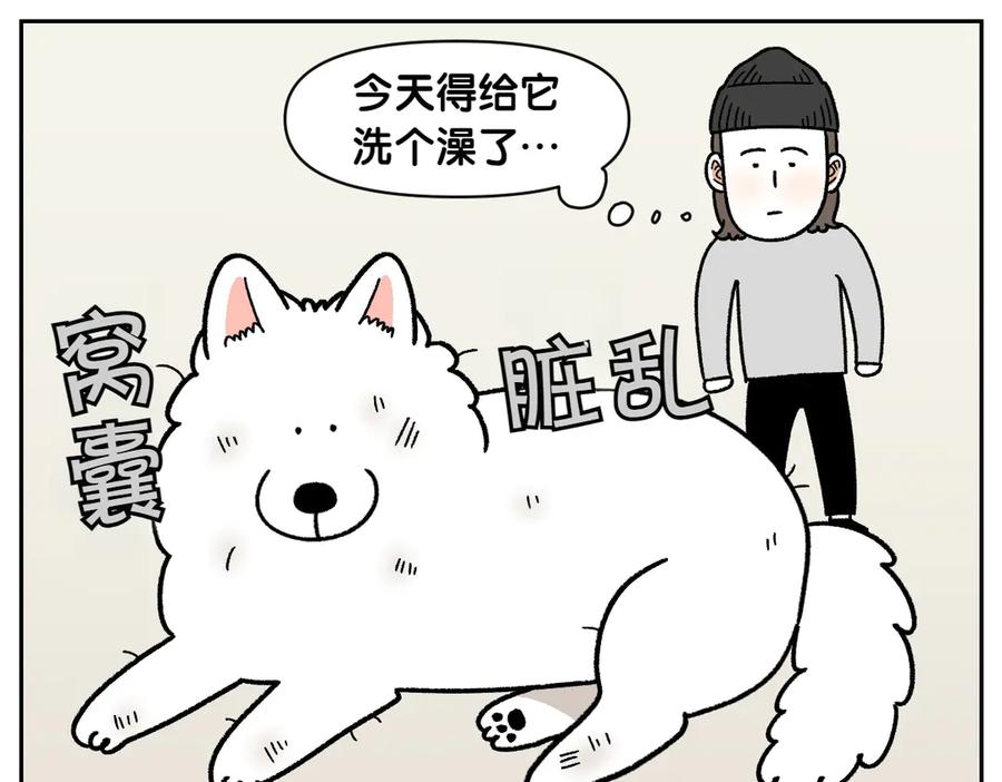 《我的狗子叫棉花》第47话 把狗狗引到浴室 第5页