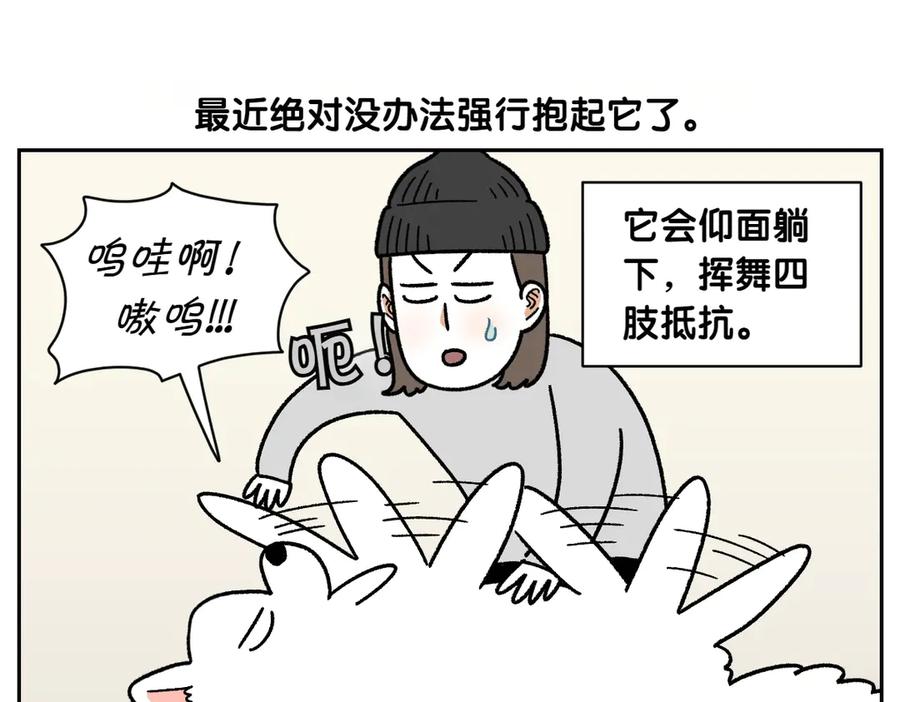 《我的狗子叫棉花》第47话 把狗狗引到浴室 第20页