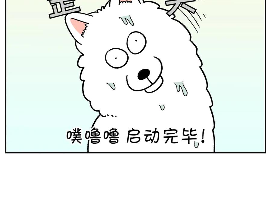 《我的狗子叫棉花》第49话 结束洗澡 第11页