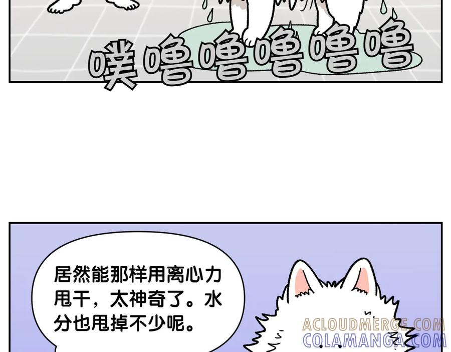 《我的狗子叫棉花》第49话 结束洗澡 第16页