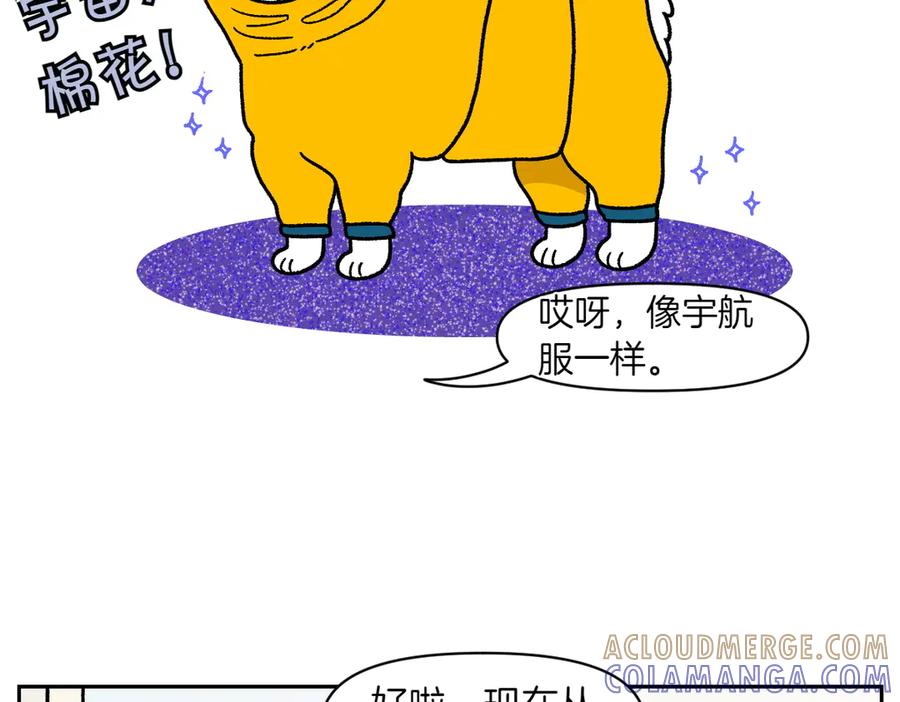 《我的狗子叫棉花》第49话 结束洗澡 第28页