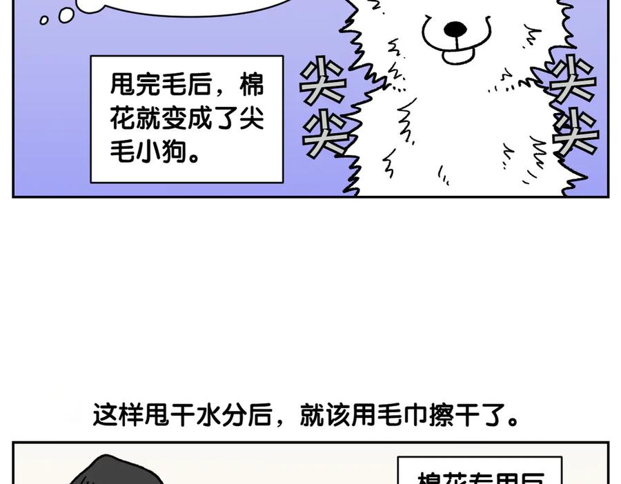 《我的狗子叫棉花》第49话 结束洗澡 第17页