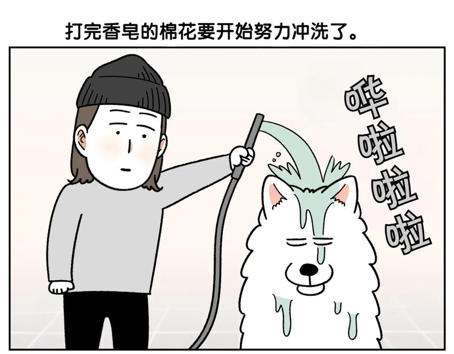《我的狗子叫棉花》第49话 结束洗澡 第5页