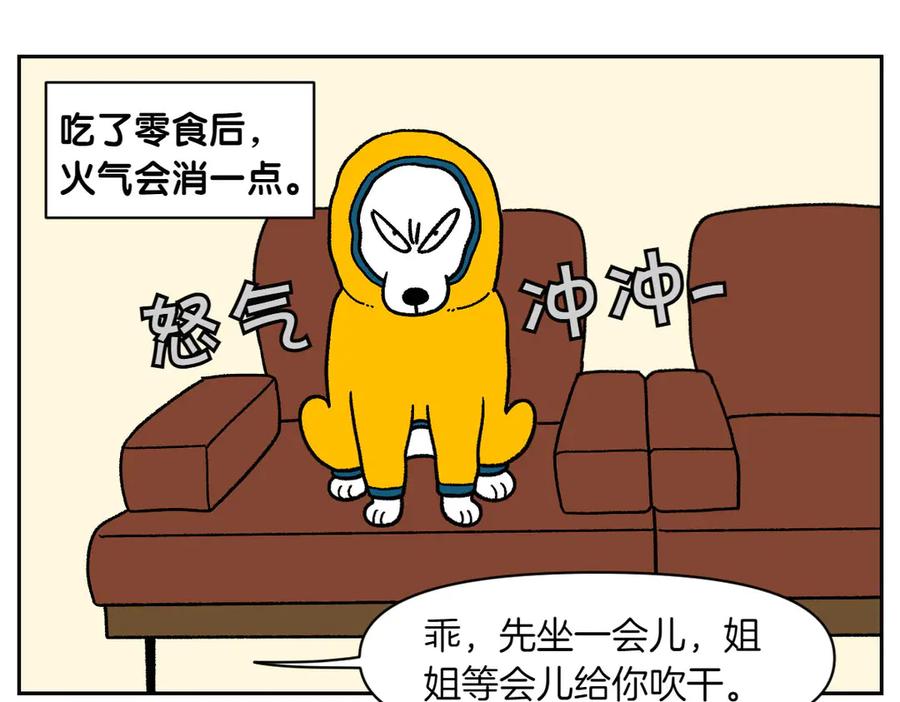 《我的狗子叫棉花》第49话 结束洗澡 第36页