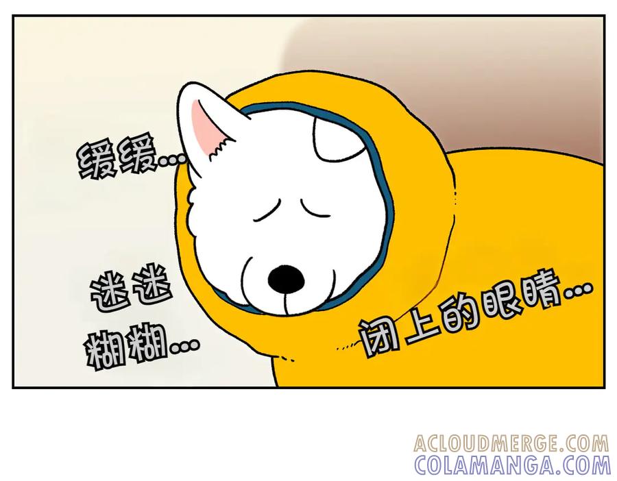 《我的狗子叫棉花》第49话 结束洗澡 第46页