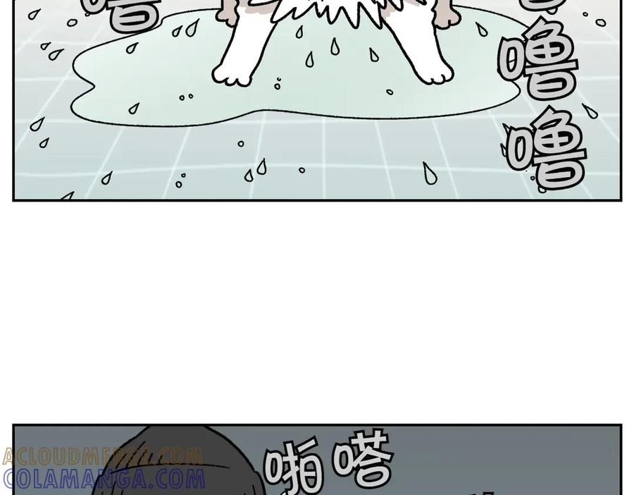 《我的狗子叫棉花》第49话 结束洗澡 第13页