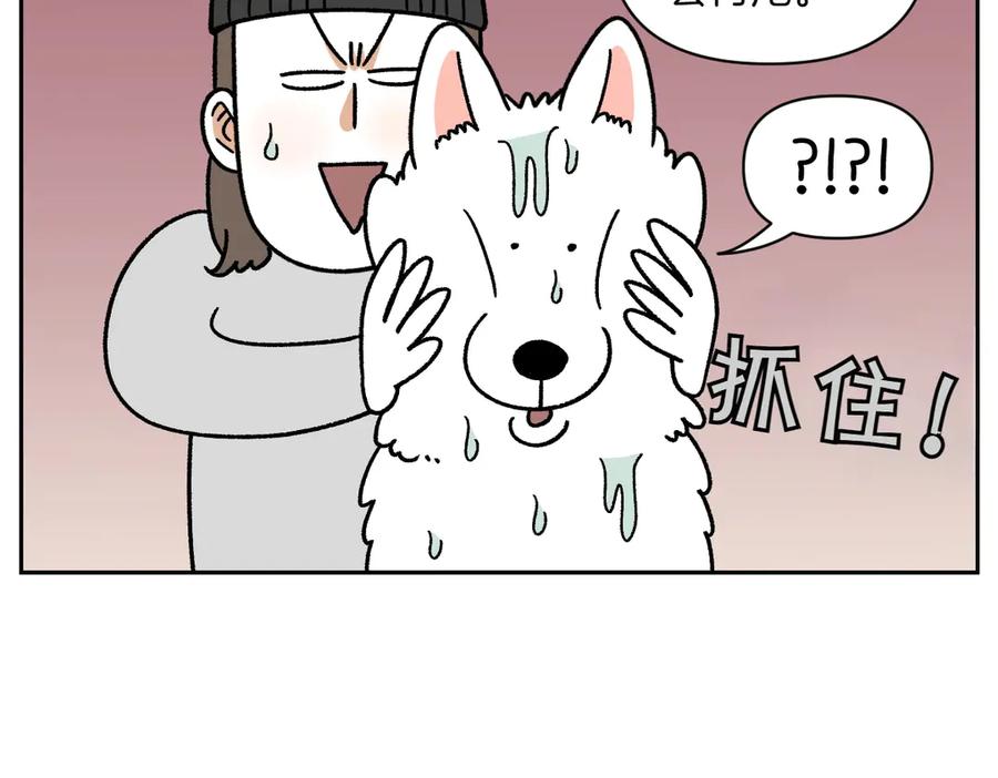 《我的狗子叫棉花》第49话 结束洗澡 第8页