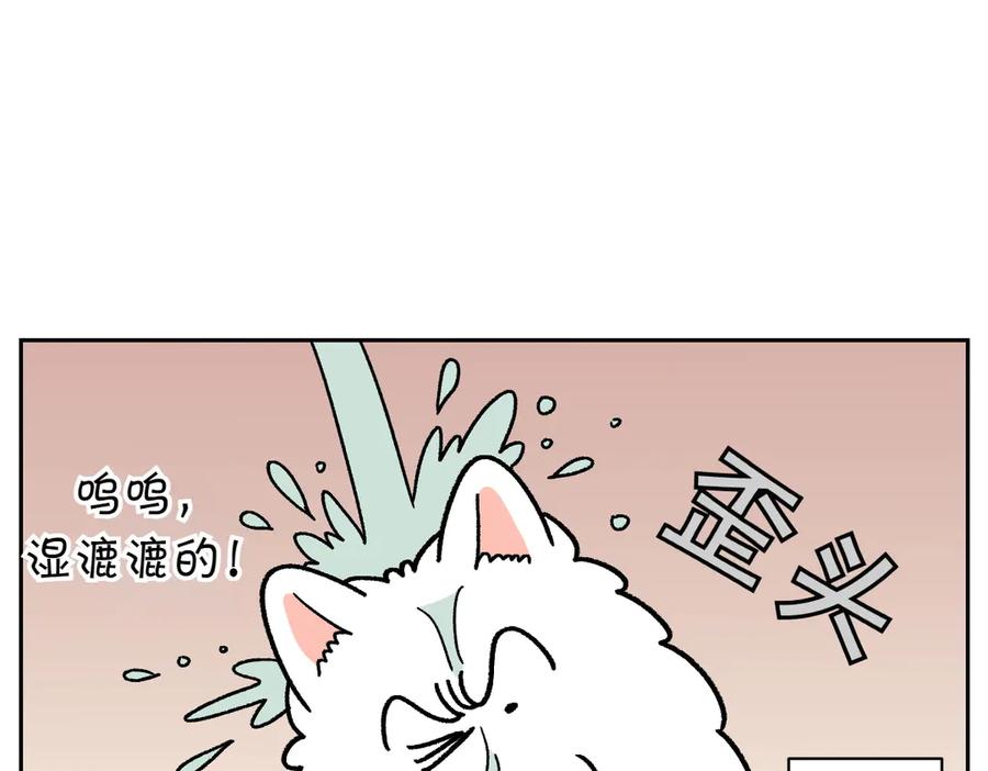 《我的狗子叫棉花》第49话 结束洗澡 第6页