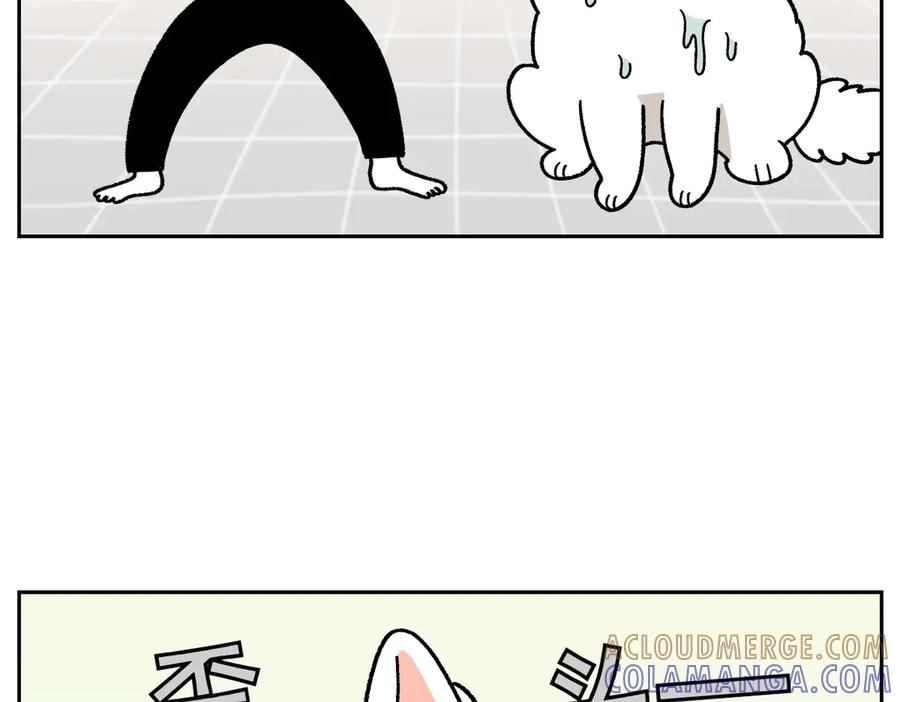《我的狗子叫棉花》第49话 结束洗澡 第10页