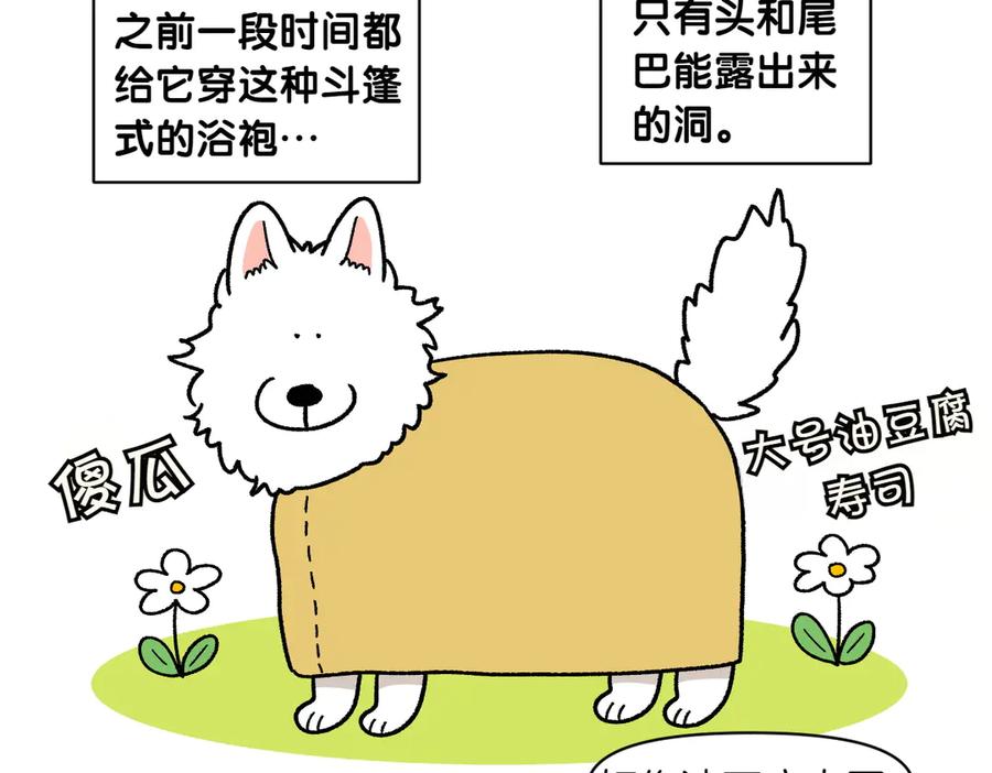 《我的狗子叫棉花》第49话 结束洗澡 第26页