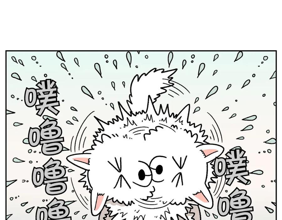 《我的狗子叫棉花》第49话 结束洗澡 第12页