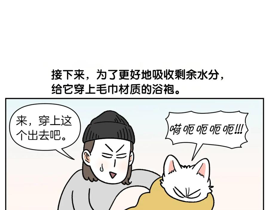 《我的狗子叫棉花》第49话 结束洗澡 第24页