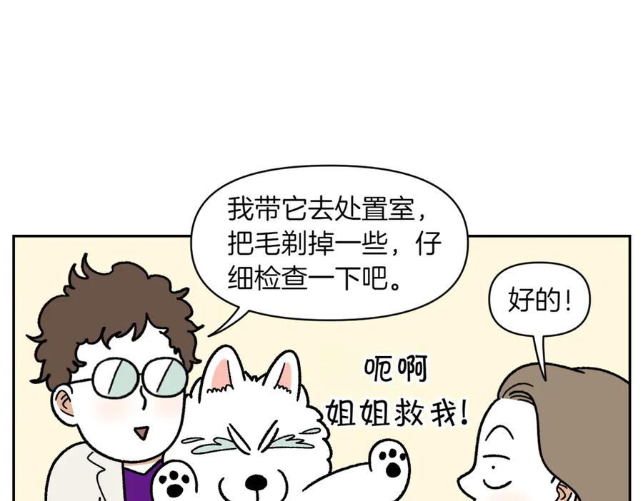 《我的狗子叫棉花》第53话 剪成小平头 第12页