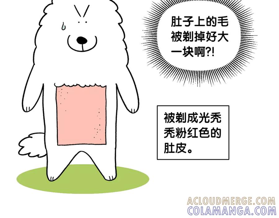 《我的狗子叫棉花》第53话 剪成小平头 第22页