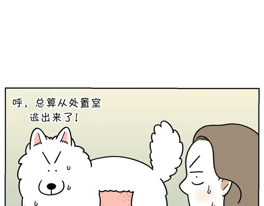 《我的狗子叫棉花》第53话 剪成小平头 第20页