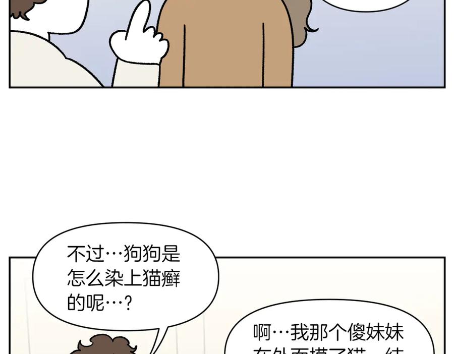 《我的狗子叫棉花》第53话 剪成小平头 第17页