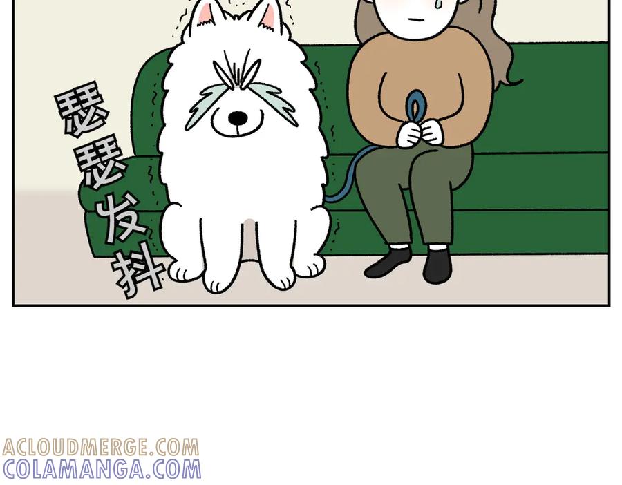 《我的狗子叫棉花》第53话 剪成小平头 第10页