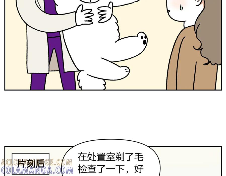 《我的狗子叫棉花》第53话 剪成小平头 第13页