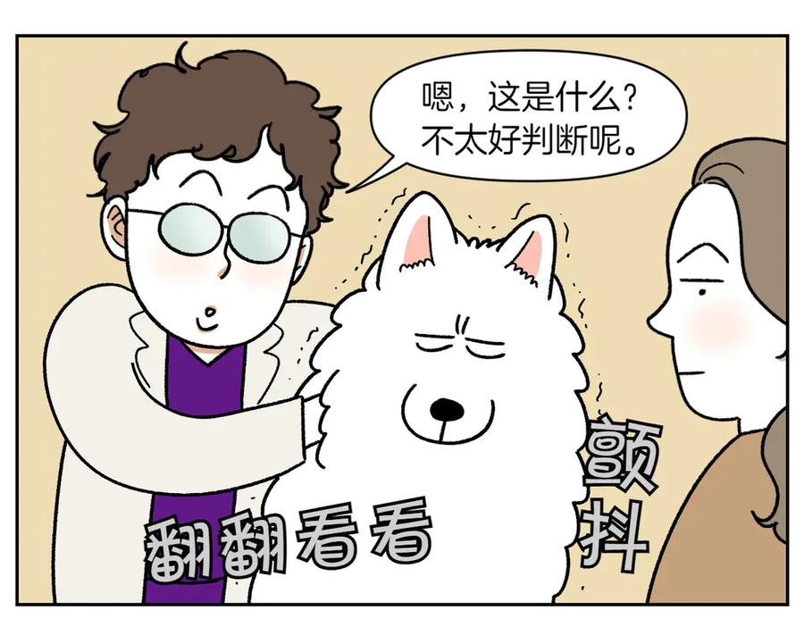 《我的狗子叫棉花》第53话 剪成小平头 第11页