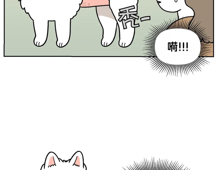《我的狗子叫棉花》第53话 剪成小平头 第21页