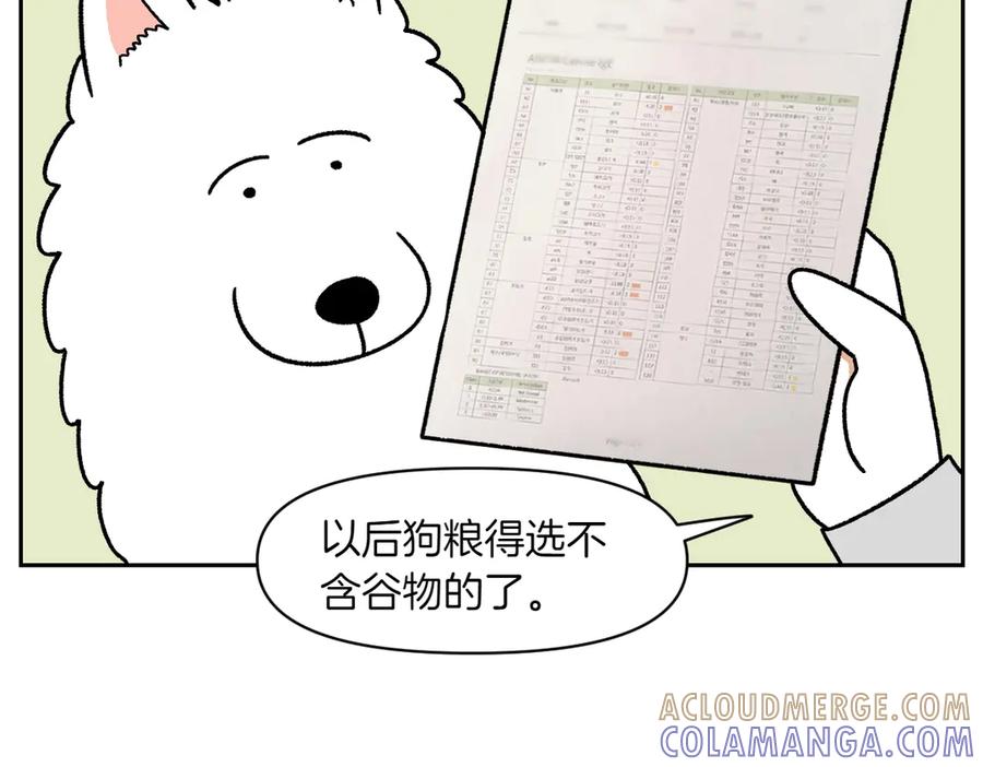 《我的狗子叫棉花》第57话 消灭家里的灰尘 第10页