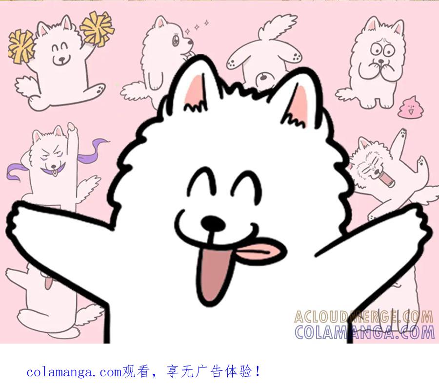 《我的狗子叫棉花》第57话 消灭家里的灰尘 第1页