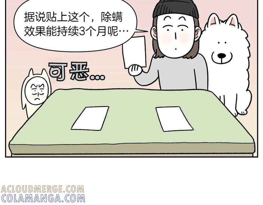 《我的狗子叫棉花》第57话 消灭家里的灰尘 第31页