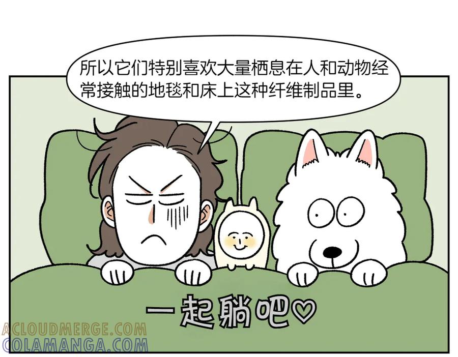 《我的狗子叫棉花》第57话 消灭家里的灰尘 第22页