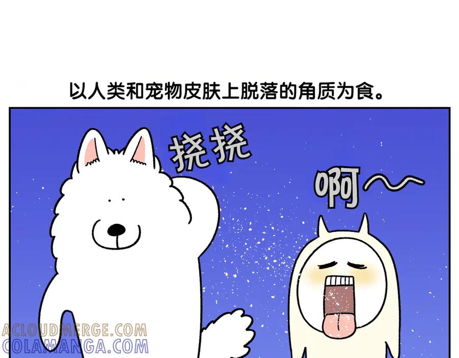 《我的狗子叫棉花》第57话 消灭家里的灰尘 第19页