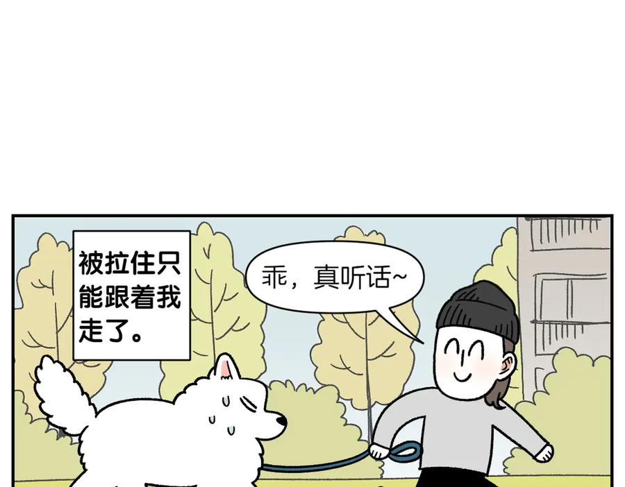 《我的狗子叫棉花》第59话 狗狗拉屎大王 第24页