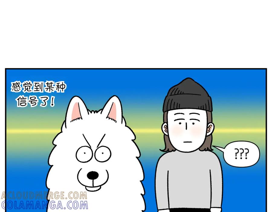《我的狗子叫棉花》第59话 狗狗拉屎大王 第13页