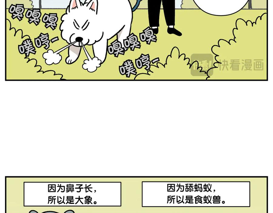 《我的狗子叫棉花》第59话 狗狗拉屎大王 第11页