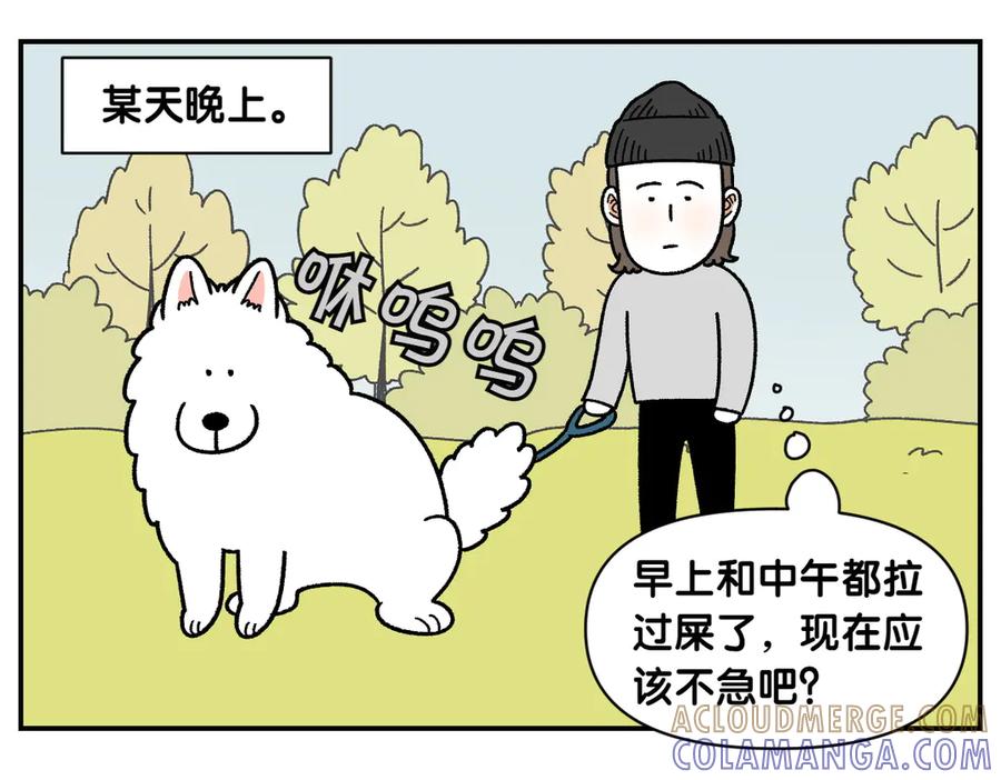 《我的狗子叫棉花》第59话 狗狗拉屎大王 第19页