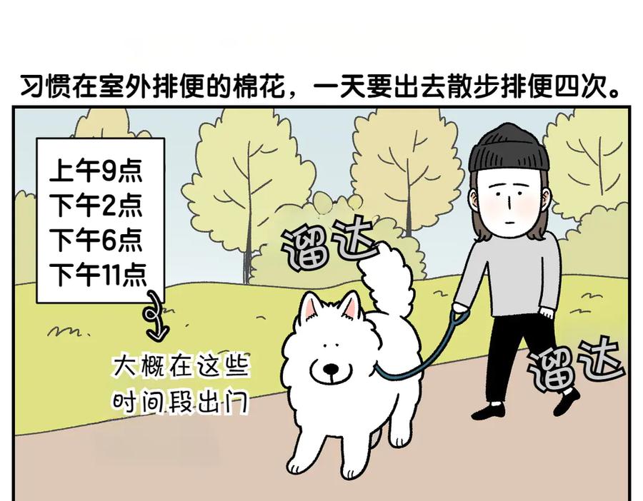 《我的狗子叫棉花》第59话 狗狗拉屎大王 第5页