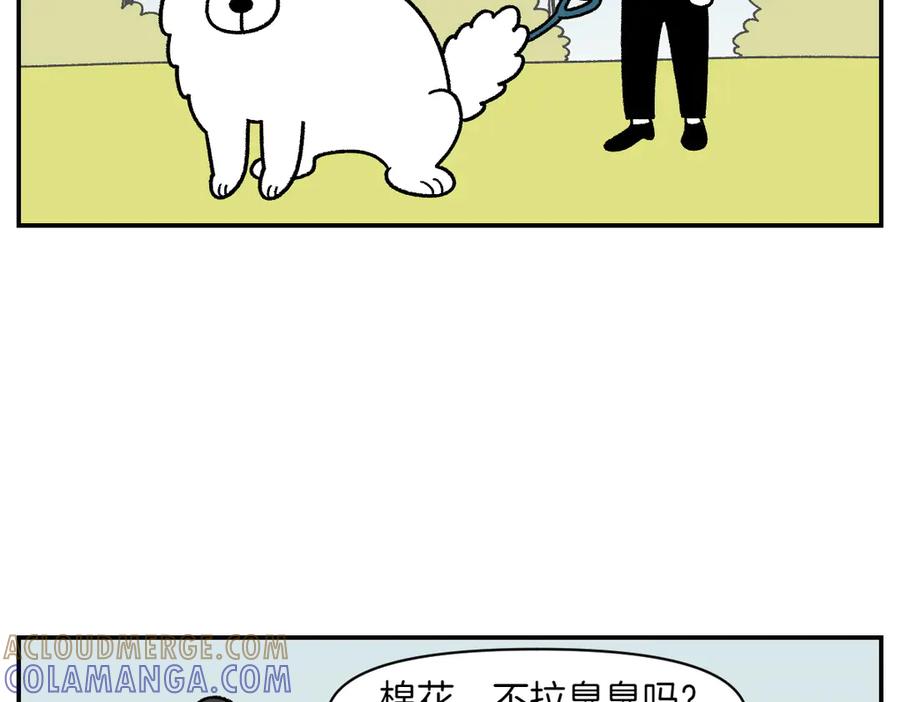 《我的狗子叫棉花》第59话 狗狗拉屎大王 第7页