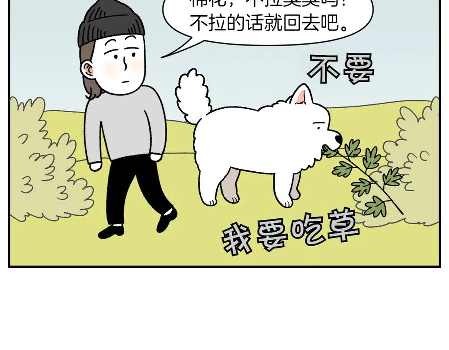 《我的狗子叫棉花》第59话 狗狗拉屎大王 第8页