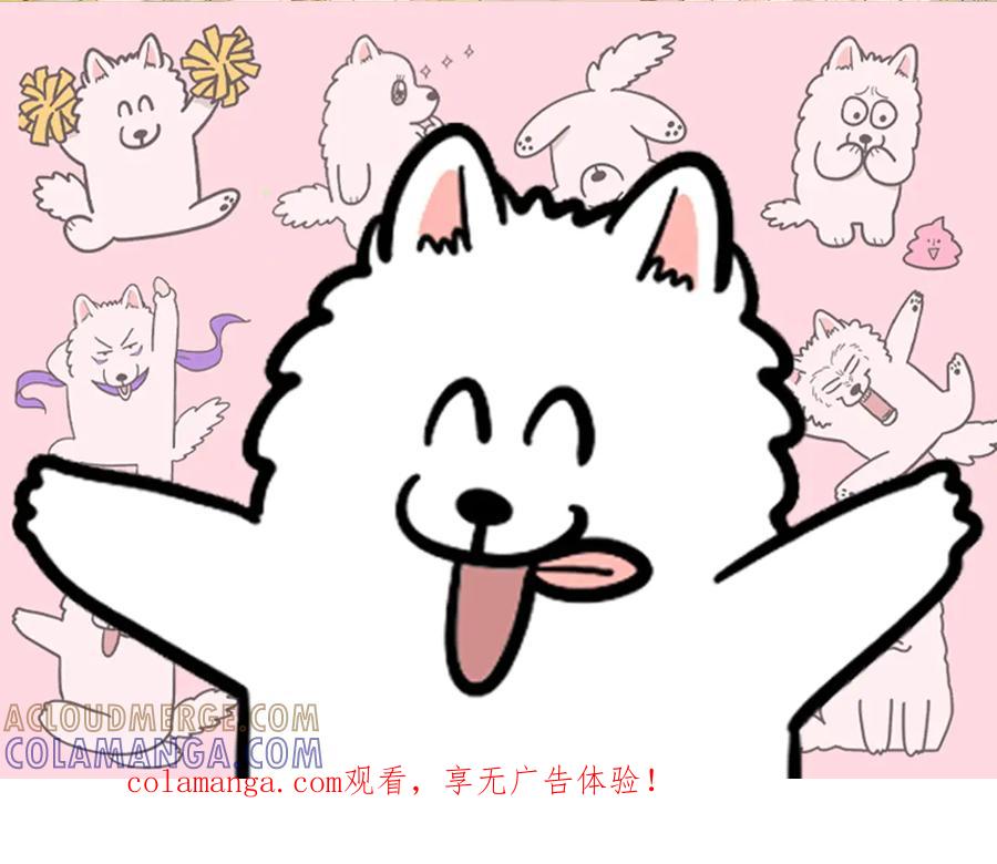 《我的狗子叫棉花》第59话 狗狗拉屎大王 第1页
