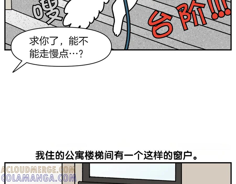《我的狗子叫棉花》第61话 台阶和狗 第13页