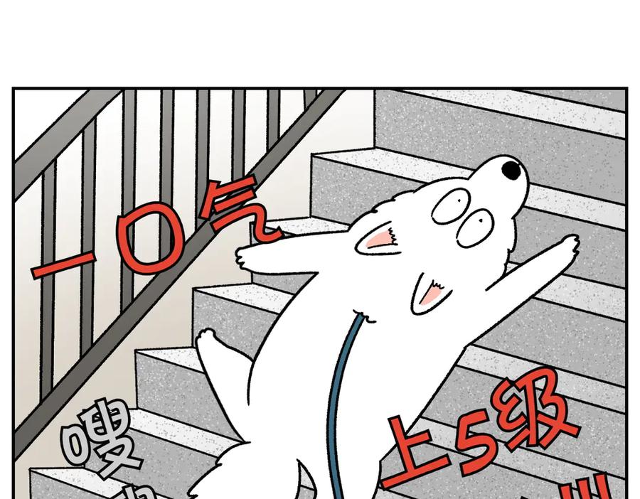 《我的狗子叫棉花》第61话 台阶和狗 第12页