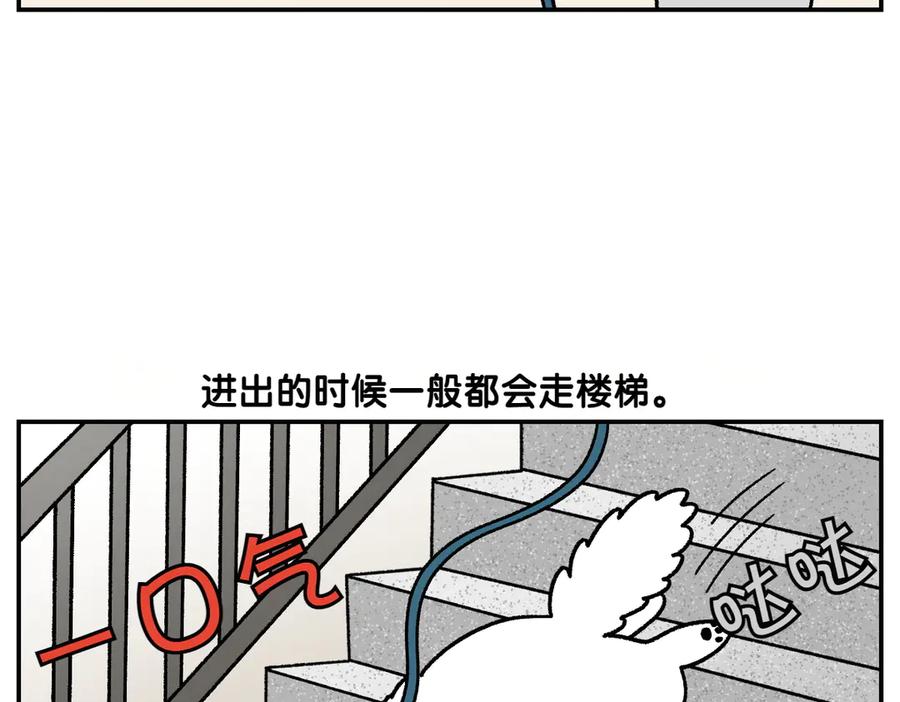 《我的狗子叫棉花》第61话 台阶和狗 第6页