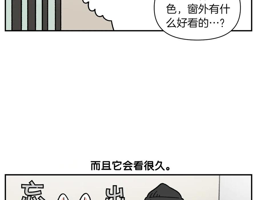 《我的狗子叫棉花》第61话 台阶和狗 第18页