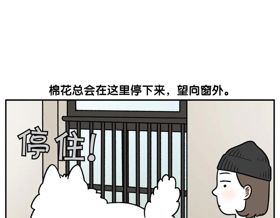 《我的狗子叫棉花》第61话 台阶和狗 第15页