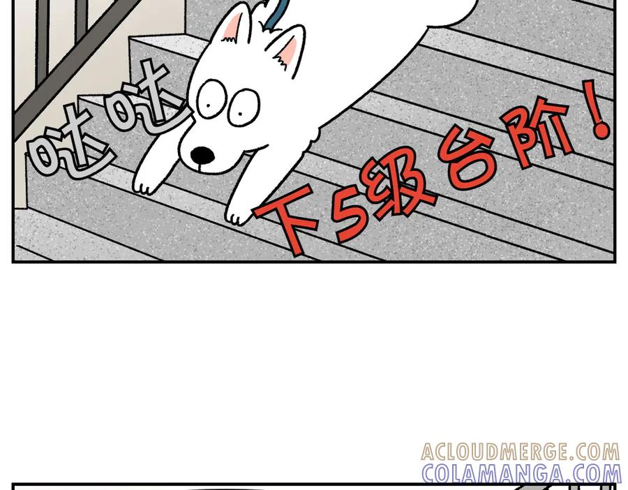 《我的狗子叫棉花》第61话 台阶和狗 第7页