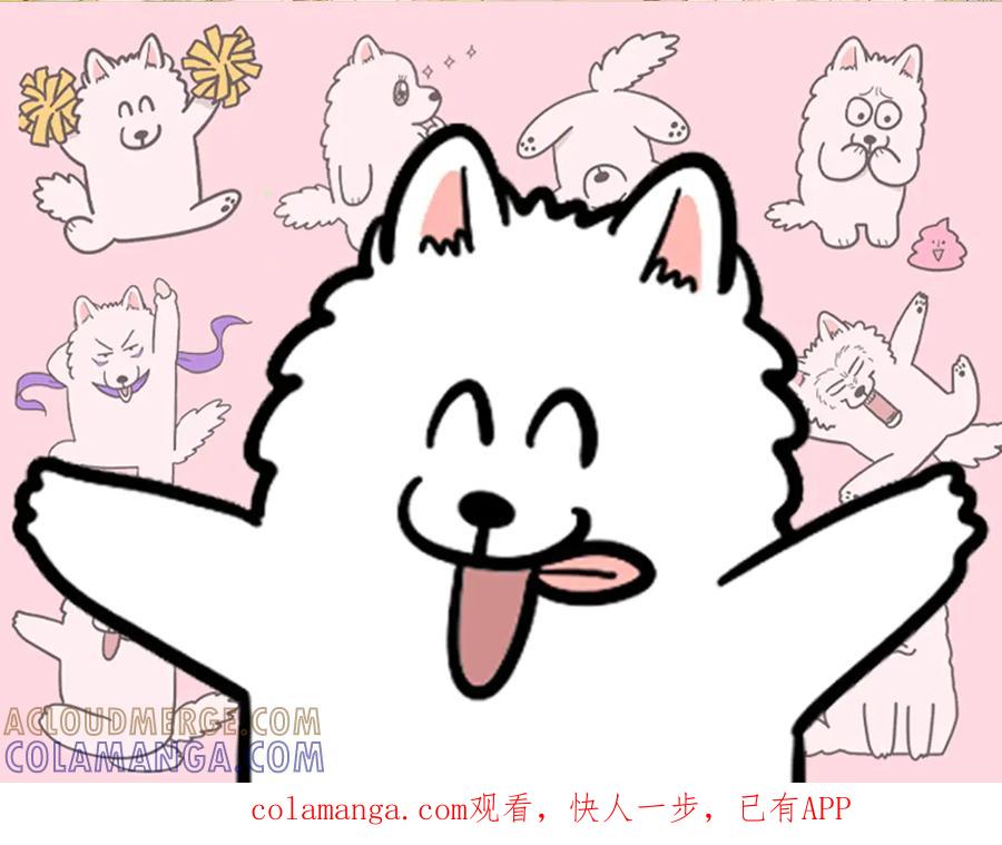 《我的狗子叫棉花》第61话 台阶和狗 第1页