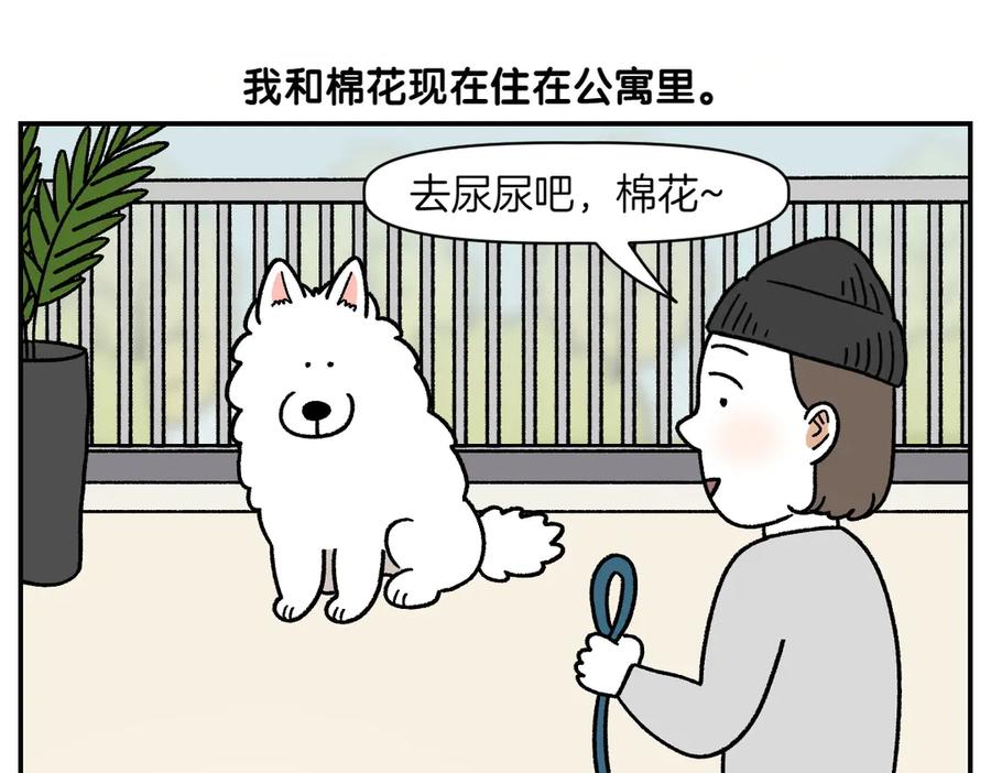 《我的狗子叫棉花》第61话 台阶和狗 第5页