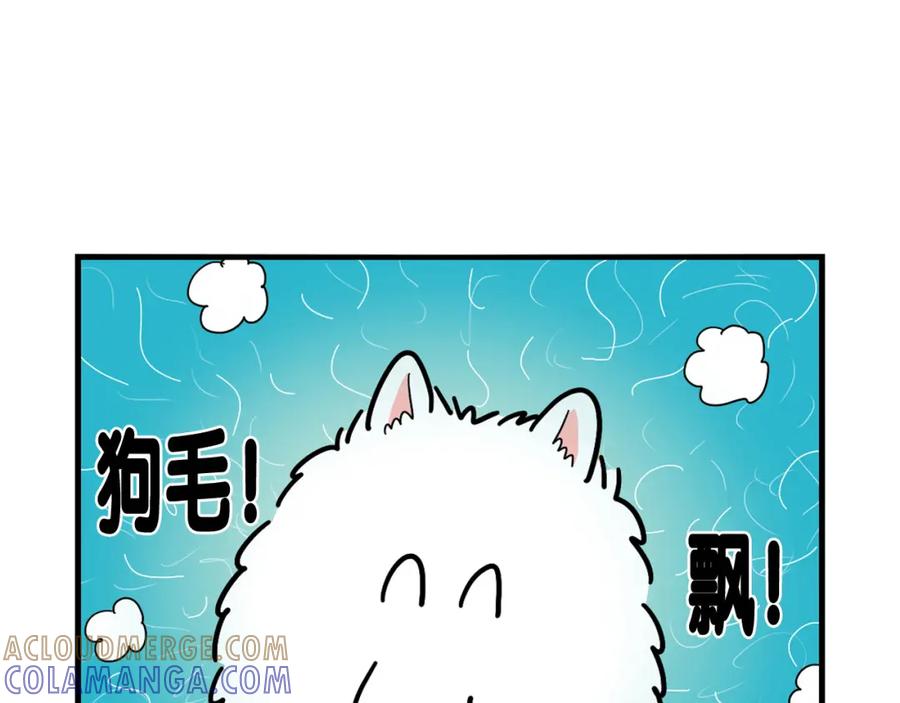 《我的狗子叫棉花》第1话 掉毛大王 第88页