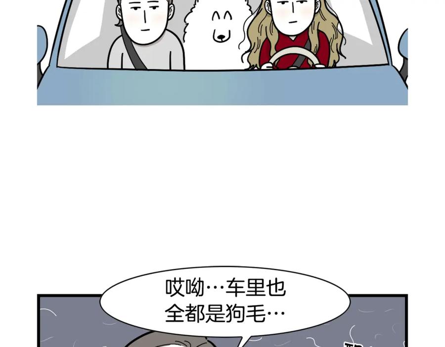 《我的狗子叫棉花》第1话 掉毛大王 第29页